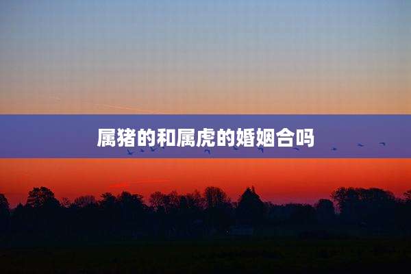 属猪的和属虎的婚姻合吗