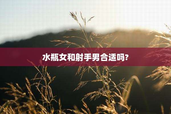 水瓶女和射手男合适吗?