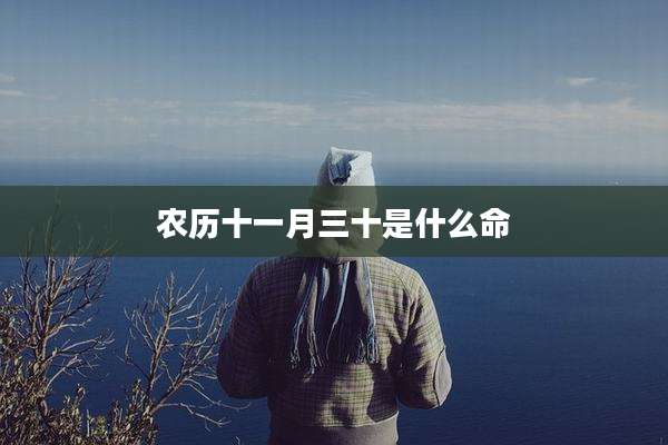 农历十一月三十是什么命