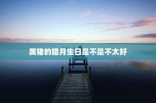 属猪的腊月生日是不是不太好
