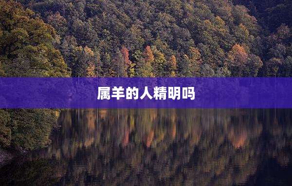 属羊的人精明吗