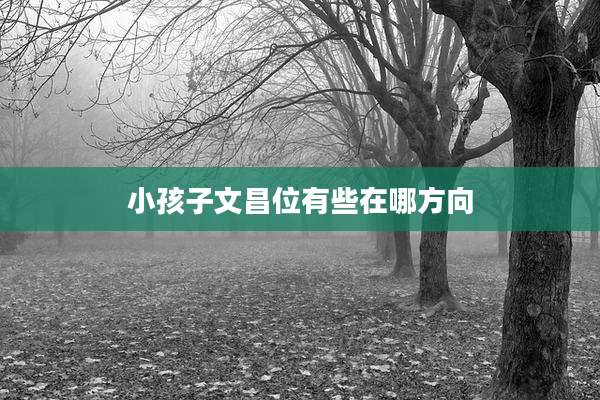 小孩子文昌位有些在哪方向