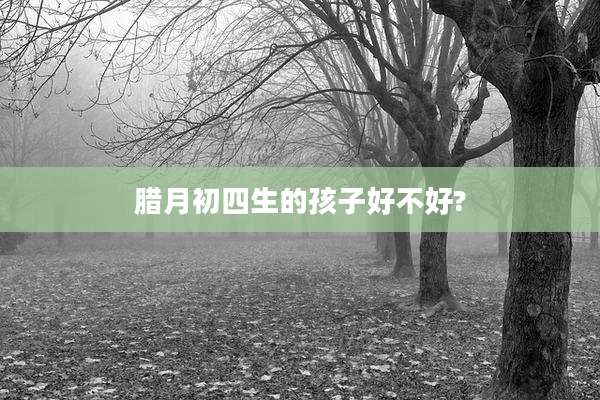 腊月初四生的孩子好不好?