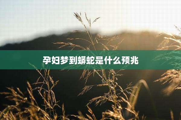 孕妇梦到蟒蛇是什么预兆