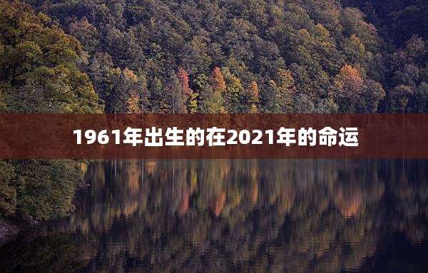 1961年出生的在2021年的命运