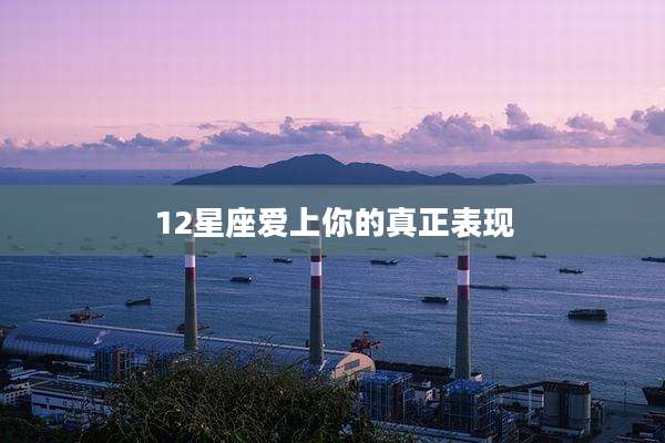 12星座爱上你的真正表现