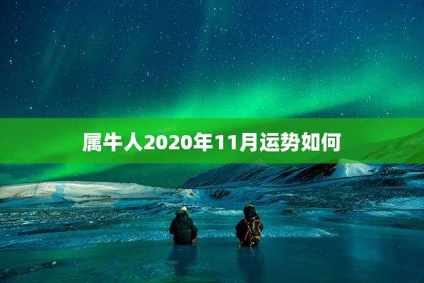 属牛人2020年11月运势如何