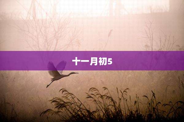 十一月初5