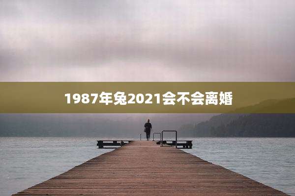 1987年兔2021会不会离婚