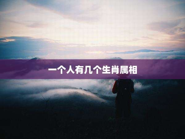 一个人有几个生肖属相