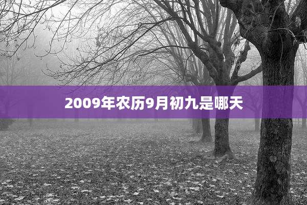 2009年农历9月初九是哪天
