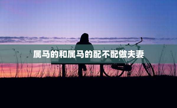 属马的和属马的配不配做夫妻