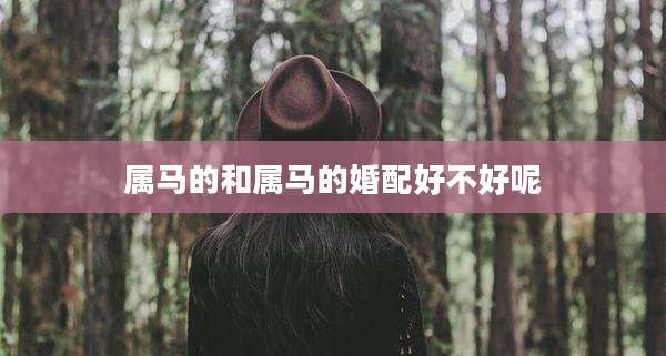 属马的和属马的婚配好不好呢