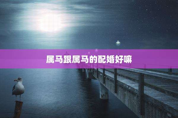 属马跟属马的配婚好嘛