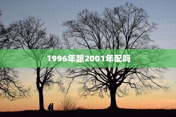 1996年跟2001年配吗