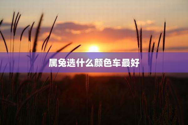 属兔选什么颜色车最好