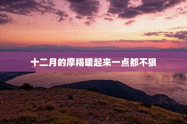 十二月的摩羯暖起来一点都不狠