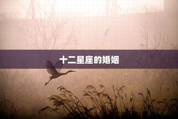 十二星座的婚姻