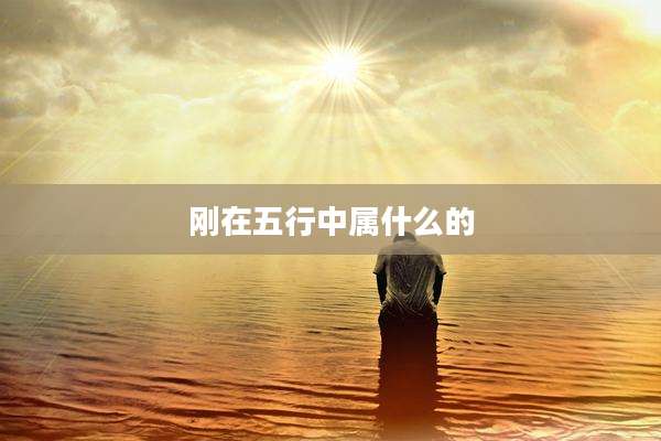 刚在五行中属什么的