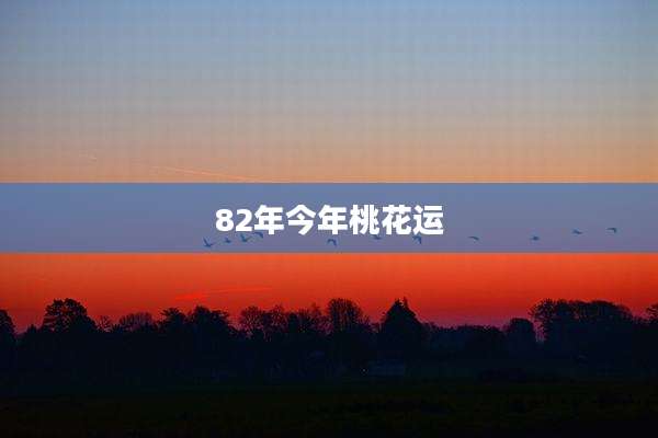 82年今年桃花运