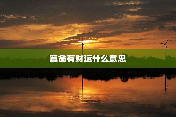 算命有财运什么意思