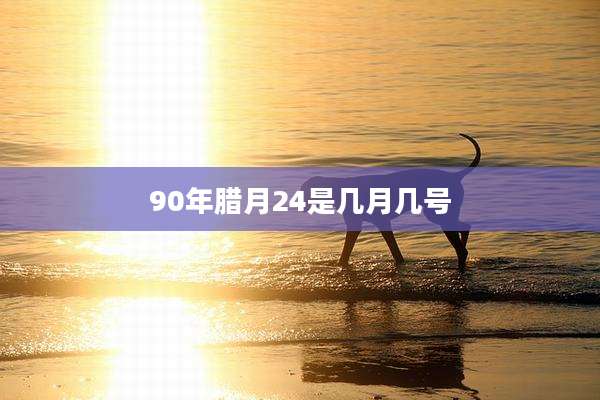 90年腊月24是几月几号