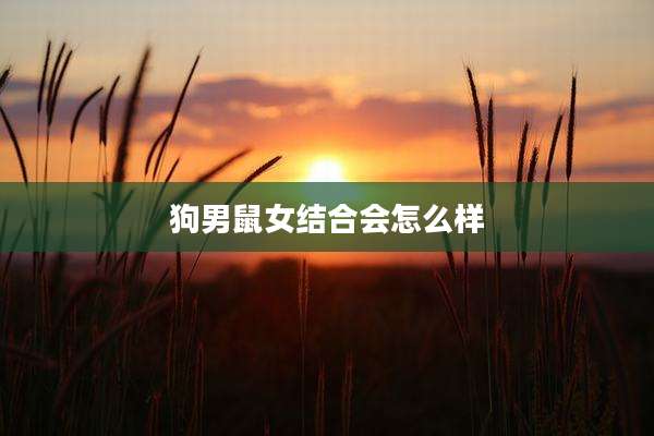 狗男鼠女结合会怎么样