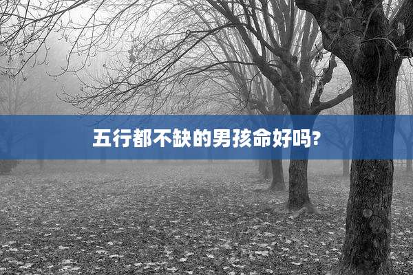 五行都不缺的男孩命好吗?