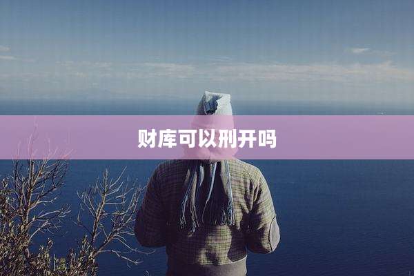 财库可以刑开吗
