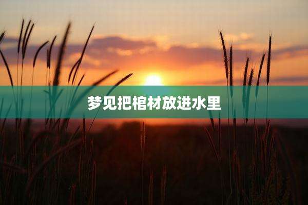 梦见把棺材放进水里