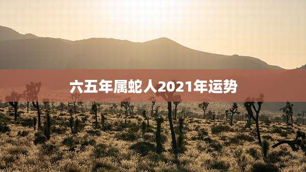 六五年属蛇人2021年运势
