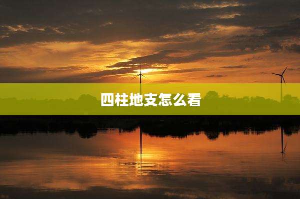 四柱地支怎么看