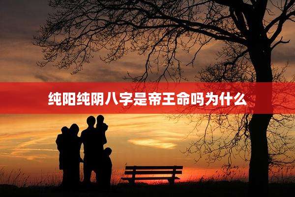 纯阳纯阴八字是帝王命吗为什么