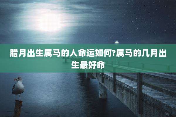 腊月出生属马的人命运如何?属马的几月出生最好命