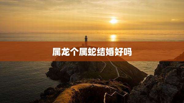 属龙个属蛇结婚好吗