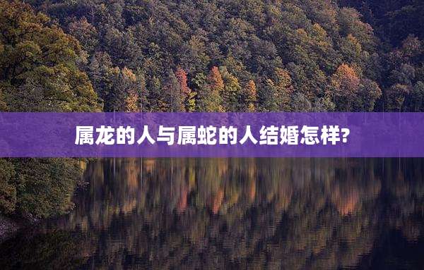 属龙的人与属蛇的人结婚怎样?