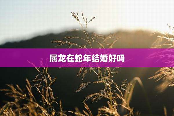 属龙在蛇年结婚好吗