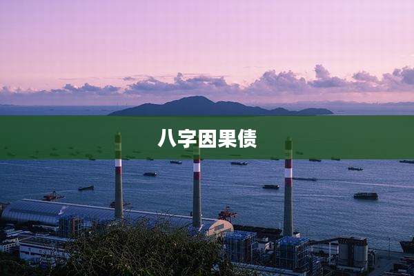 八字因果债