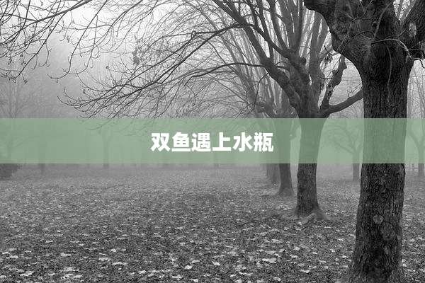 双鱼遇上水瓶