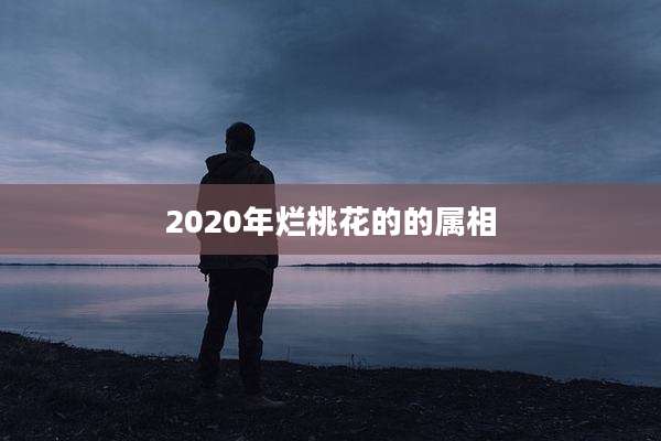 2020年烂桃花的的属相