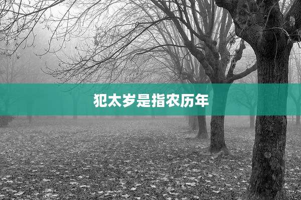 犯太岁是指农历年