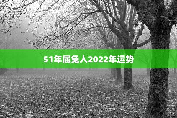 51年属兔人2022年运势