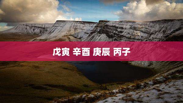 戊寅 辛酉 庚辰 丙子