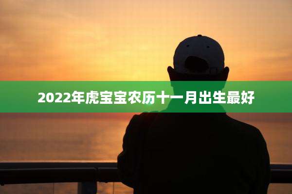 2022年虎宝宝农历十一月出生最好