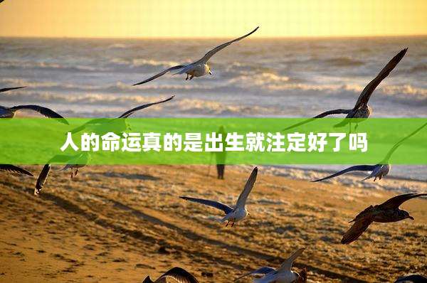 人的命运真的是出生就注定好了吗