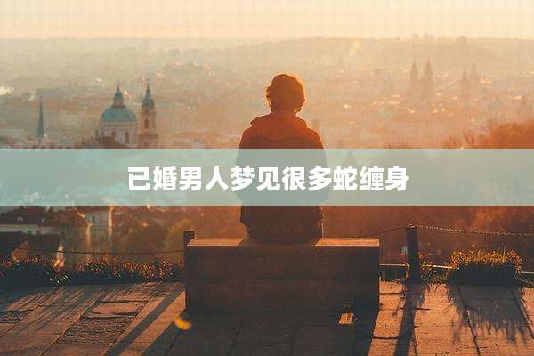 已婚男人梦见很多蛇缠身