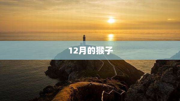 12月的猴子