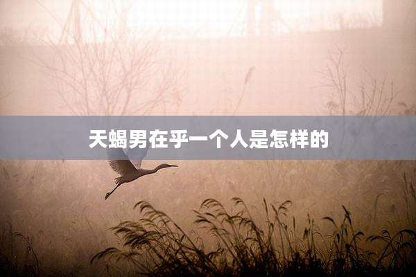 天蝎男在乎一个人是怎样的