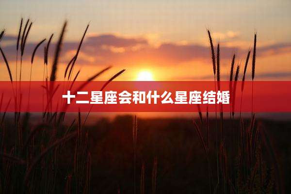 十二星座会和什么星座结婚