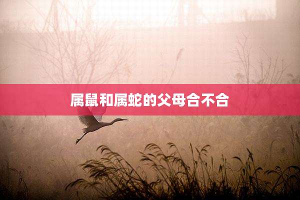 属鼠和属蛇的父母合不合